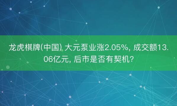 龙虎棋牌(中国) 大元泵业涨2.05%， 成交额13.06亿元， 后市是否有契机?