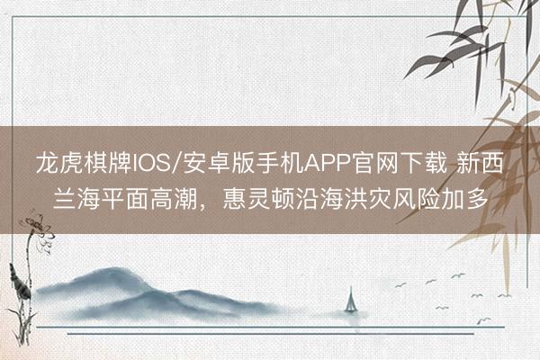 龙虎棋牌IOS/安卓版手机APP官网下载 新西兰海平面高潮，惠灵顿沿海洪灾风险加多