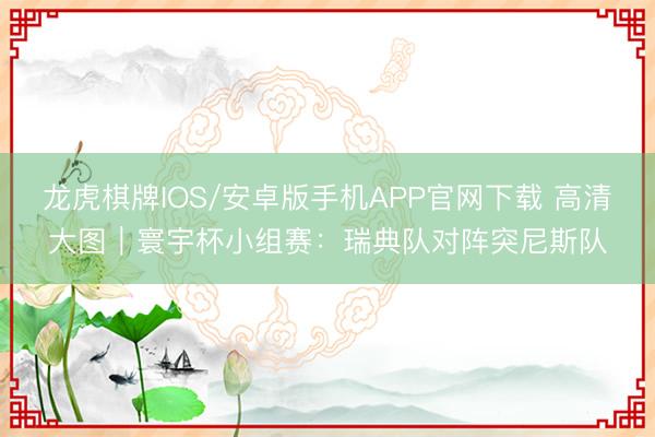 龙虎棋牌IOS/安卓版手机APP官网下载 高清大图｜寰宇杯小组赛：瑞典队对阵突尼斯队