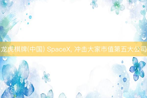 龙虎棋牌(中国) SpaceX, 冲击大家市值第五大公司