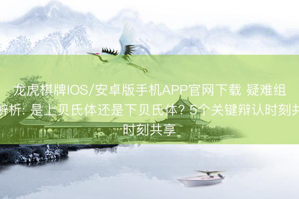 龙虎棋牌IOS/安卓版手机APP官网下载 疑难组织辨析: 是上贝氏体还是下贝氏体? 5个关键辩认时刻共享