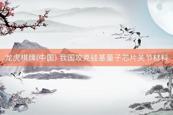 龙虎棋牌(中国) 我国攻克硅基量子芯片关节材料